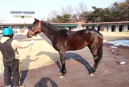 Ž������ ����