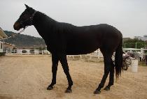 ����Ʈ���� (SMART WORLD) ����