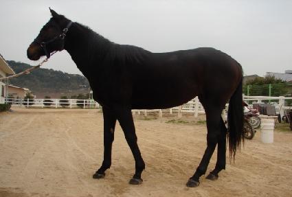 ����Ʈ���� ����