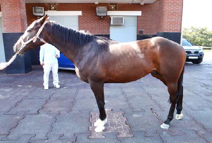 ���̽����� ����