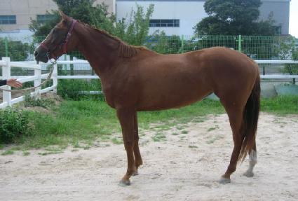 �ѱ�� ����