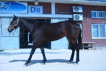 ����� ����