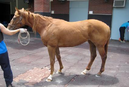 ����Ĺ ����