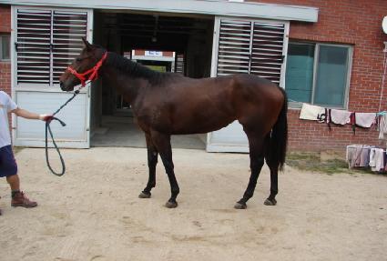 ��¸��� ����