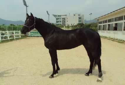 ���׼��� ����