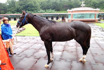 ������� ����