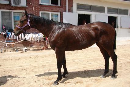 ������� ����