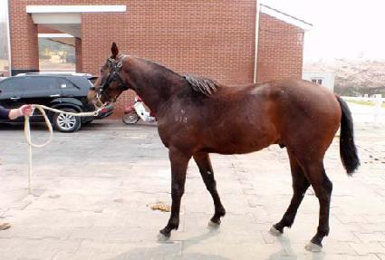 �ް������� ����