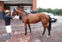 �ݺ����� (GEUMBITJINJU) ����