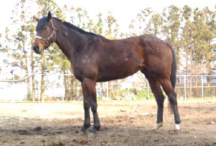 ������ ����