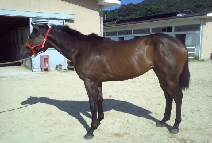 �ٴ�����Ʈ ����