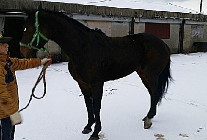 ���̴�ǻó ����