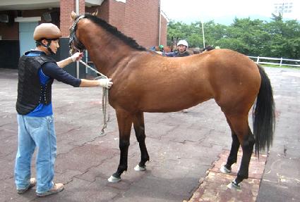 ����߿� ����