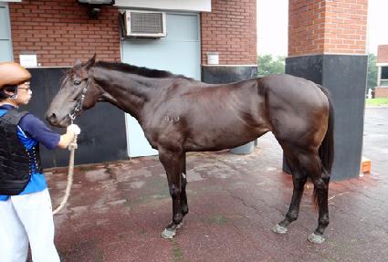 �帲��� ����