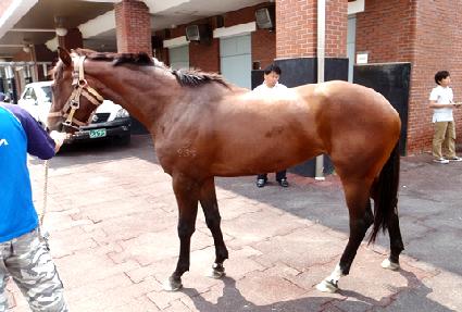 ����ġŰ�� ����