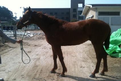 û����� ����