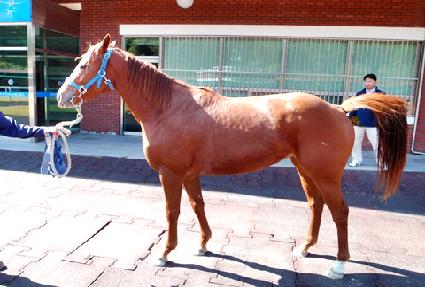 ȯ���Ǻ� ����