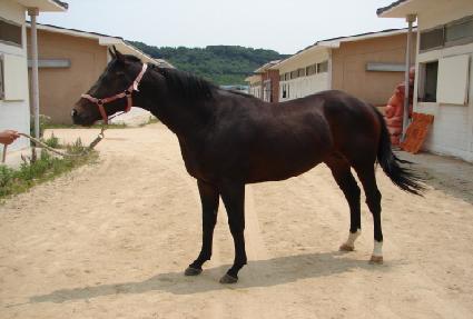 ���ĸ��� ����