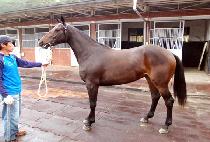 ���п�� (MUPAE USEUNG) ����