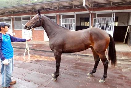 ���п�� ����