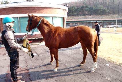 ��ī ����