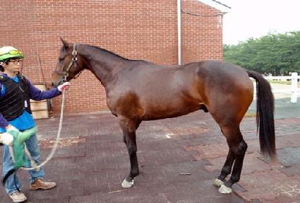 �����ȣũ ����