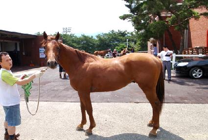 �����ǹ� ����