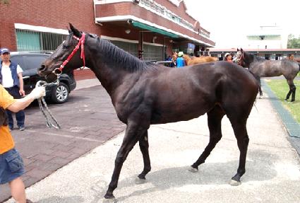 ��꿵�� ����