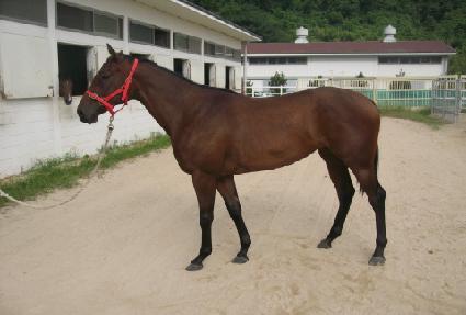 �ູ���� ����