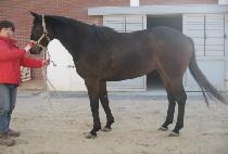 ���俩�� (EUTTEUM YEOJE) ����