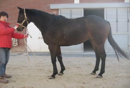 ���俩�� ����