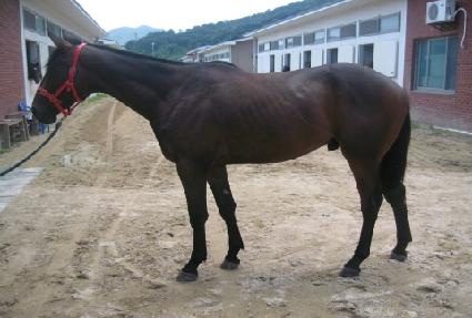 ��ȣ���� ����