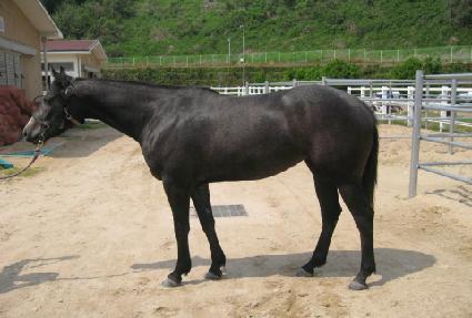 �غ����� ����