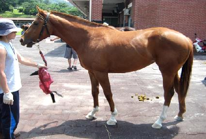 �������� ����