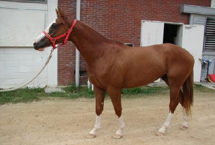 ��Ƽ�� ����