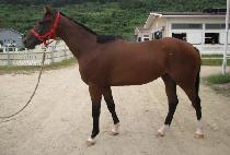 �������ǽ� (MASTERPIECE) ����