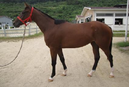 �������ǽ� ����