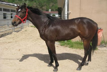 �������� ����