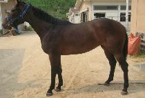 �޻찡�� (HAETSAL GADEUK) ����