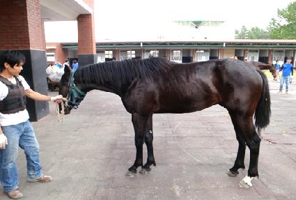 �ݰ��� ����