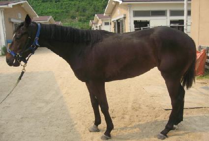 ������ȭ ����