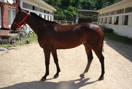 ���� ����