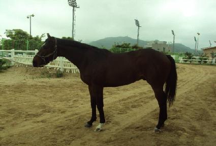 �帲Ÿ�� ����