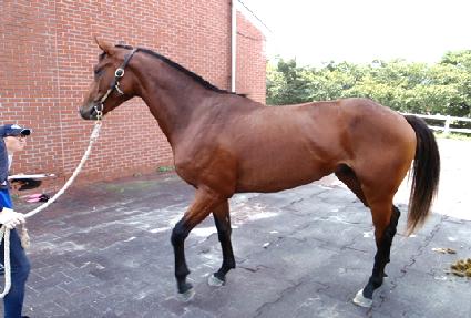 ���� ����