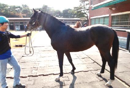 �ֺܼ� ����