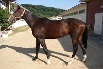 ��� (EODOBONG) ����