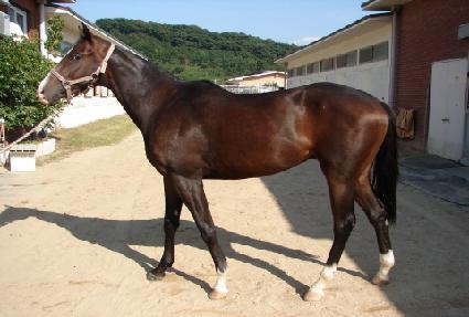 ��� ����