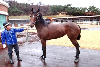 ���Ƽ�� ����