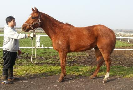 ��ν��۷θ� ����