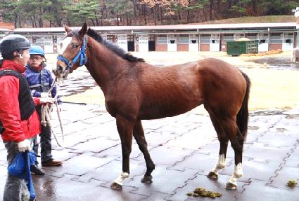 ��ħ�� ����